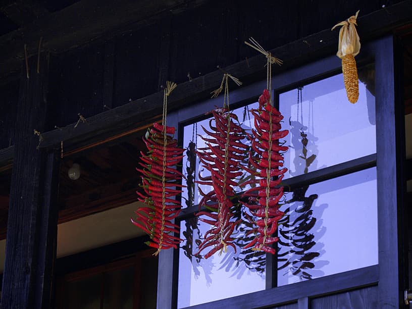 Tsuru no Yu Onsen - Ryokan